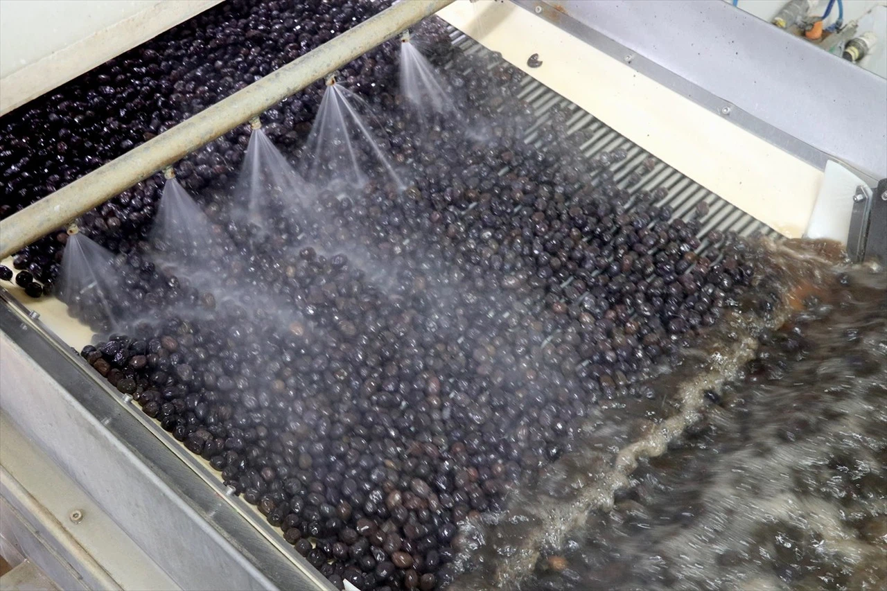 Marmarabirlik'in Orta Doğu Pazarındaki Hedefleri