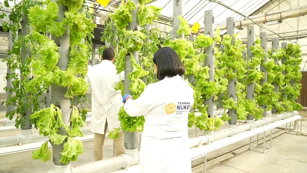TENMAK Gıda Teknolojisi ile Raf Ömrünü Uzatıyor