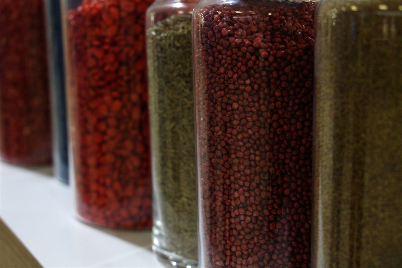 Türkiye 121 ülkeye tohum ihraç ediyor