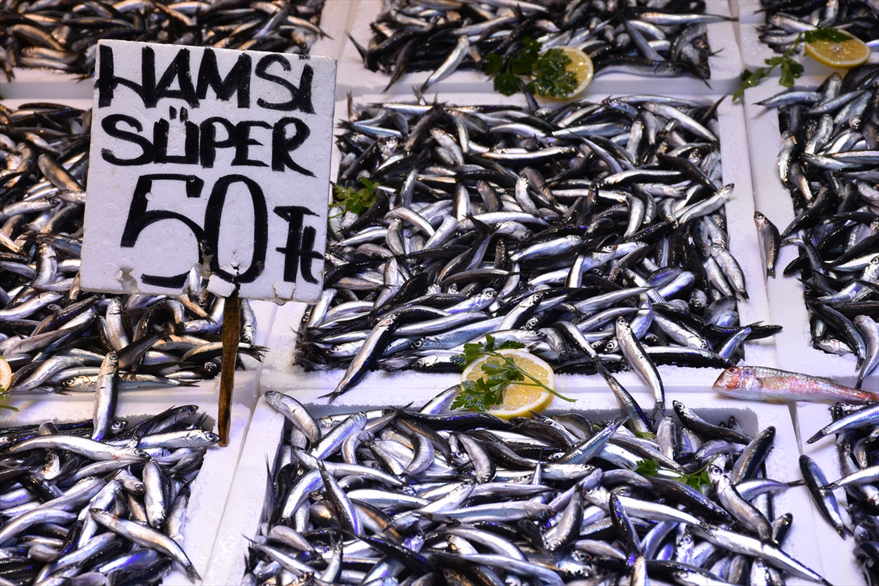 Trabzon'da hamsinin kilogramı 50 liradan satılıyor