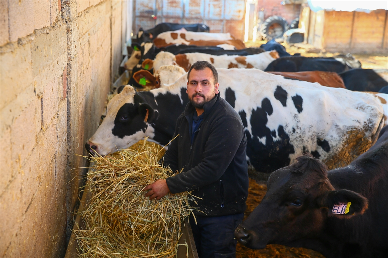 Uşak'ta 4 inekle hayvancılığa başlayan genç mühendis çiftliğini kurdu