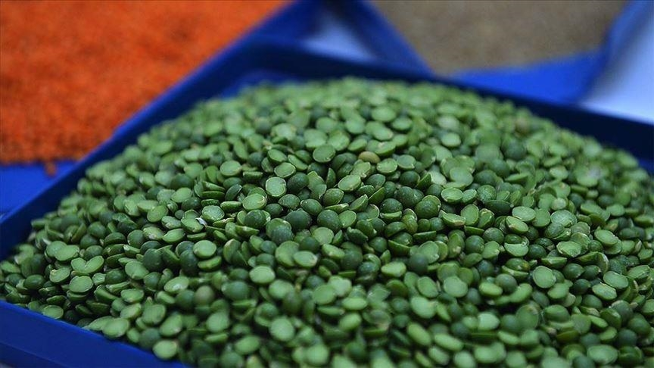 Yeşil mercimek ve yulaf ithalatında gümrük vergileri düşürüldü