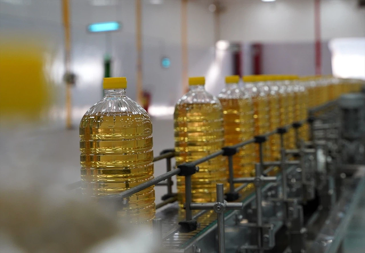 Türkiye'nin Ayçiçek Yağı İhracatı 1 Milyar Doları Aşmayı Hedefliyor