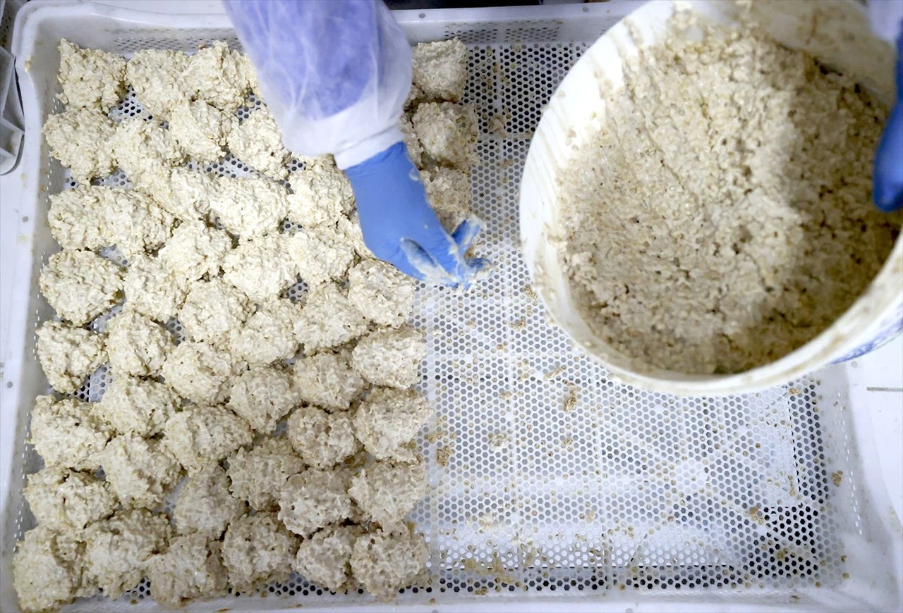 Malatya Tarhanası İhracatı İçin Hazırlanıyor