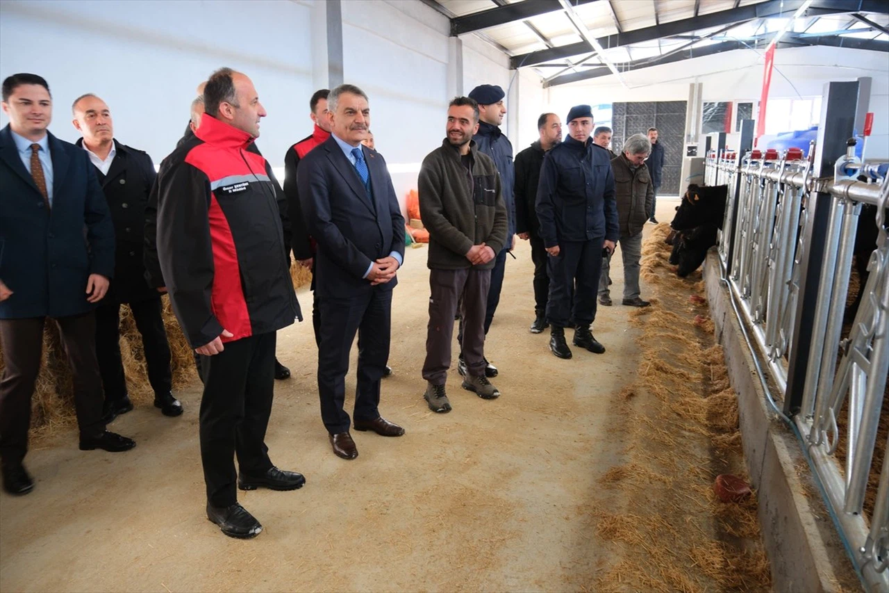 Yozgat'ta Destek Projesi ile 26 Damızlık Gebe Düve Dağıtıldı