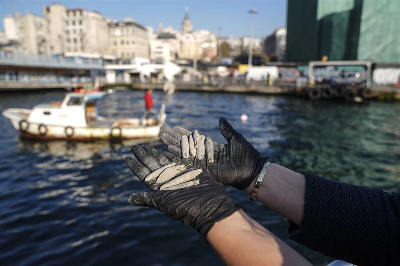 Haliç'te Olta Kurşunları Temizleme Etkinliği