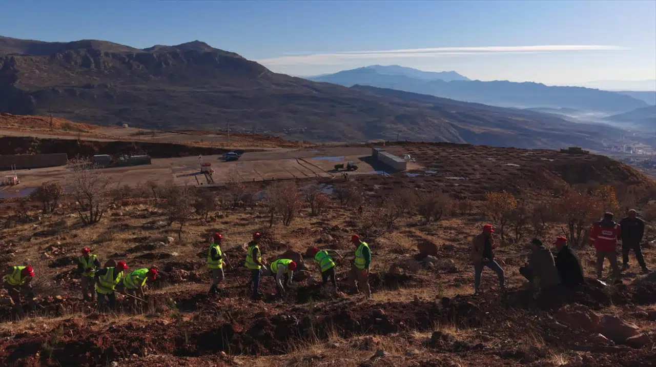 Şırnak Gabar'da Fidan Dikim Seferberliği Başlatıldı