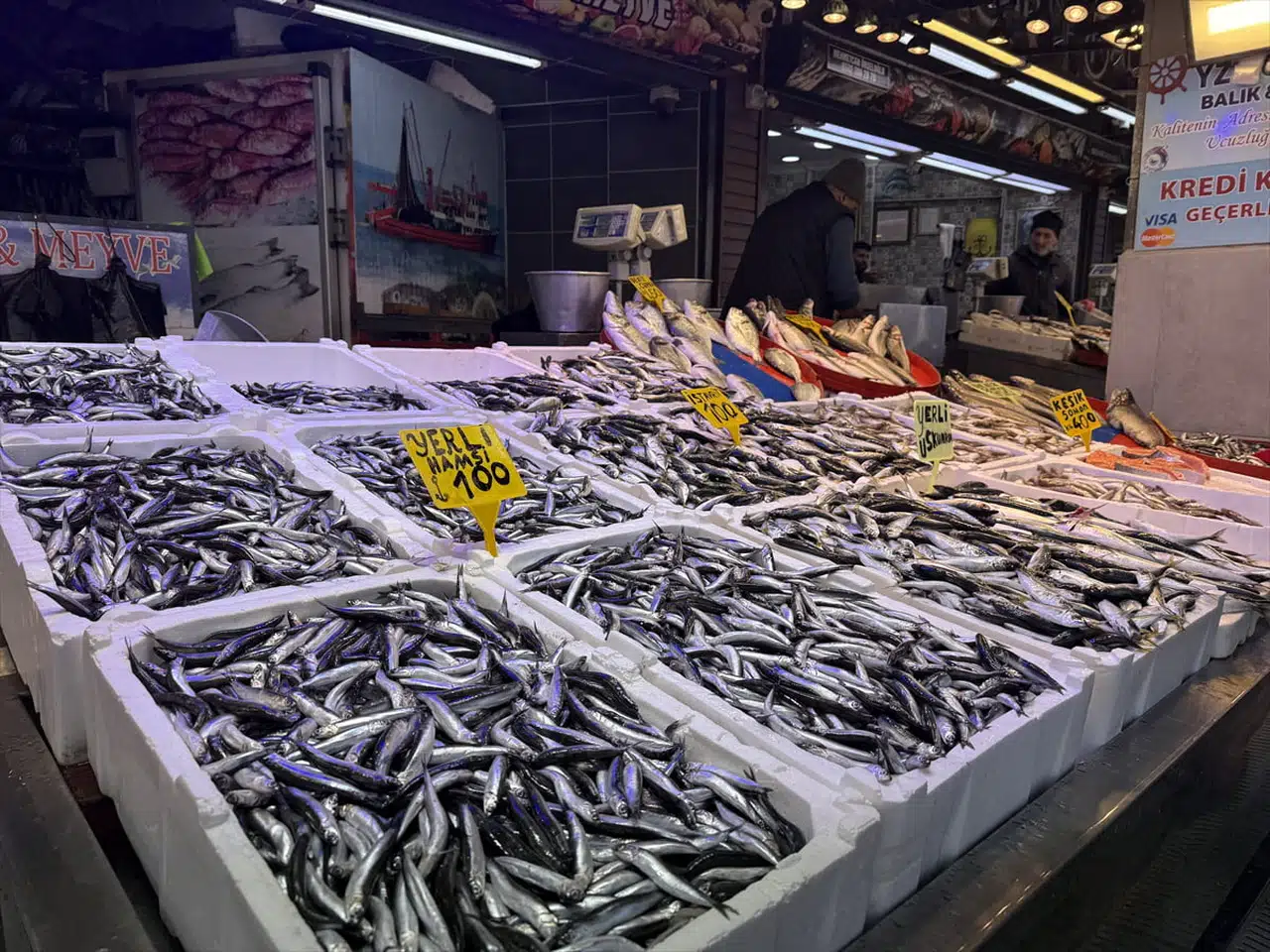 Trabzon'da Balık Fiyatları: Hamsi ve İstavrit 100 Lira