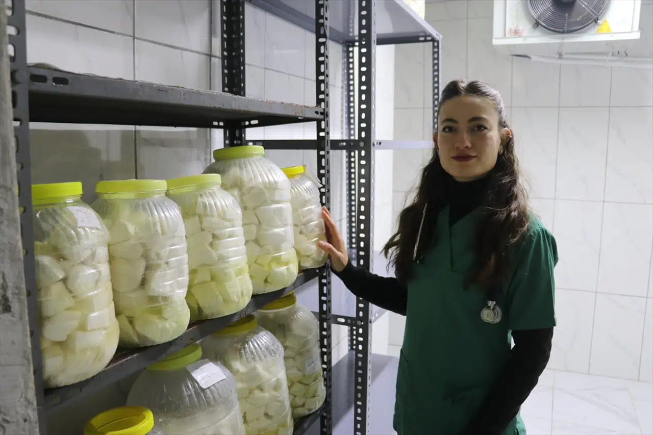 Devlet Desteğiyle Besiciliğe Adım Atan Genç Veterinerin Hikayesi