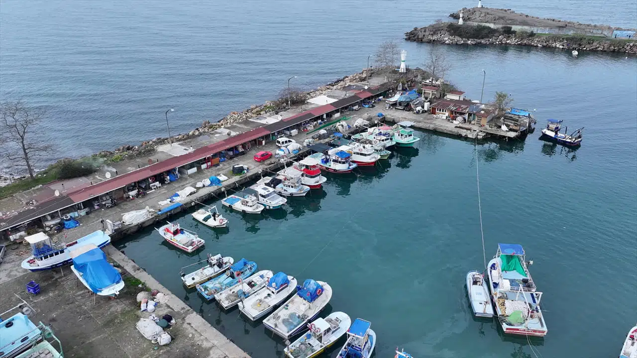 Düzce ve Bartın Balıkçılarının Kayıpları: Kötü Sezonun Sebepleri