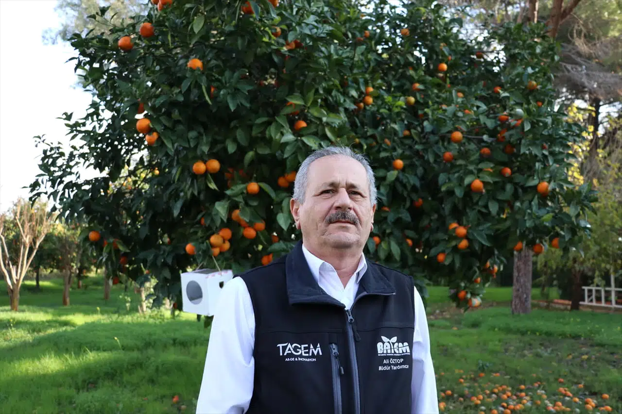 Faydalı Böcekler ile Sürdürülebilir Tarım