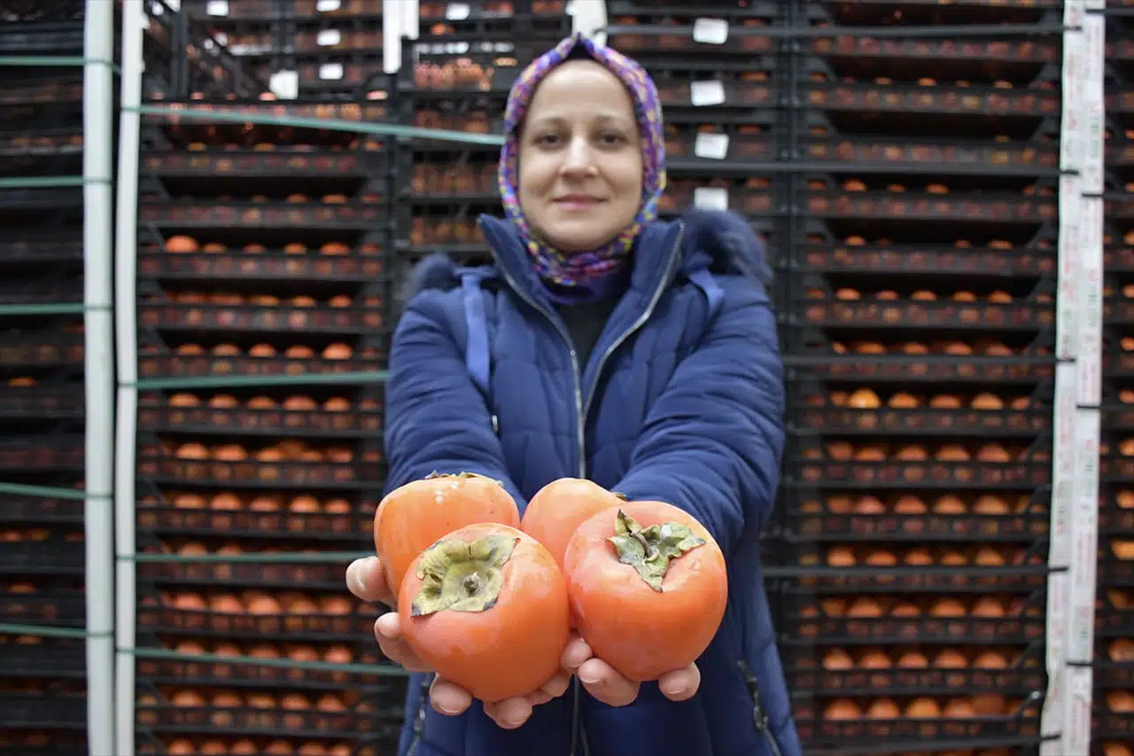 Kadın Girişimci Zeynep Genç, Soğuk Hava Deposuyla Tarıma Yeni Bir Soluk Getiriyor