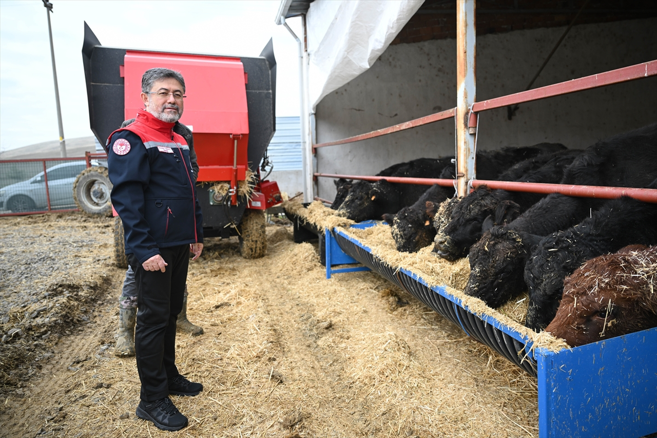 Kırmızı et üretimini artıracak Kırsalda Bereket, Hayvancılığa Destek Projesi meyvelerini vermeye başladı