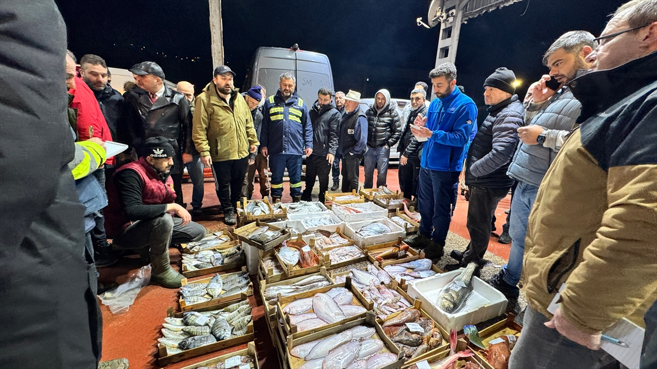 Kocaeli'de balık mezatlarında en yoğun rekabet hamside yaşandı