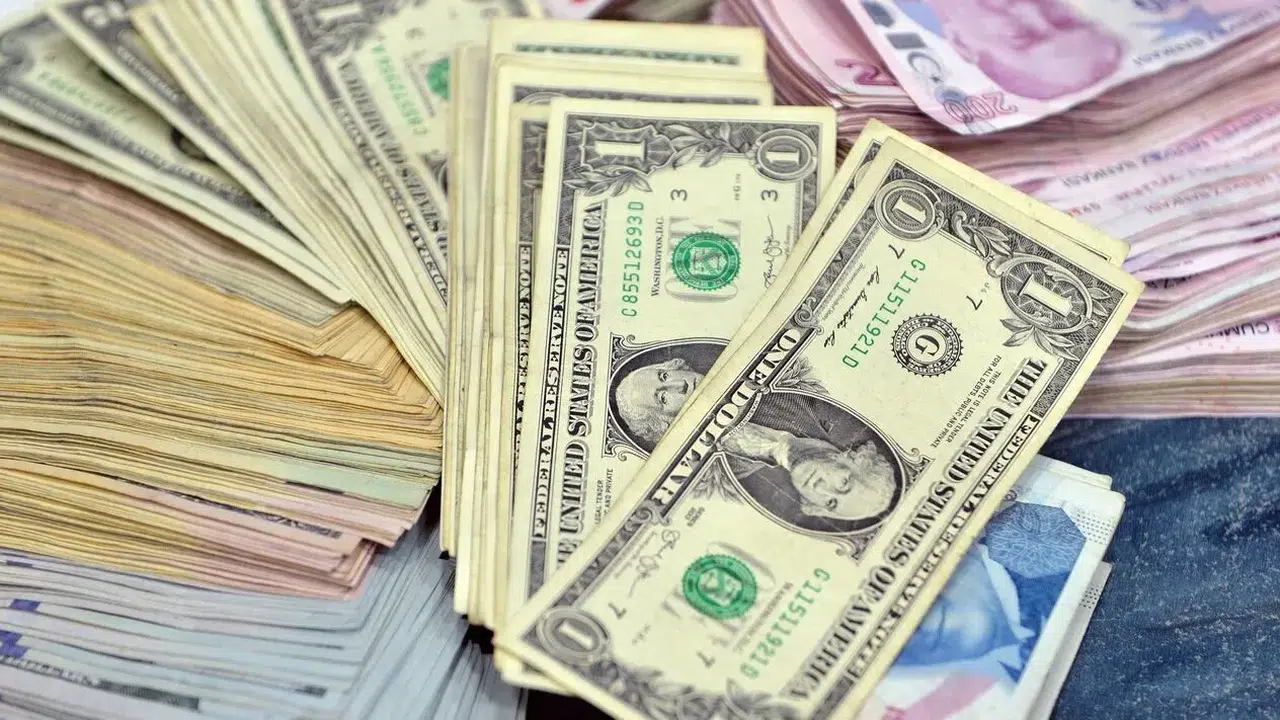 Serbest piyasada döviz açılış fiyatları