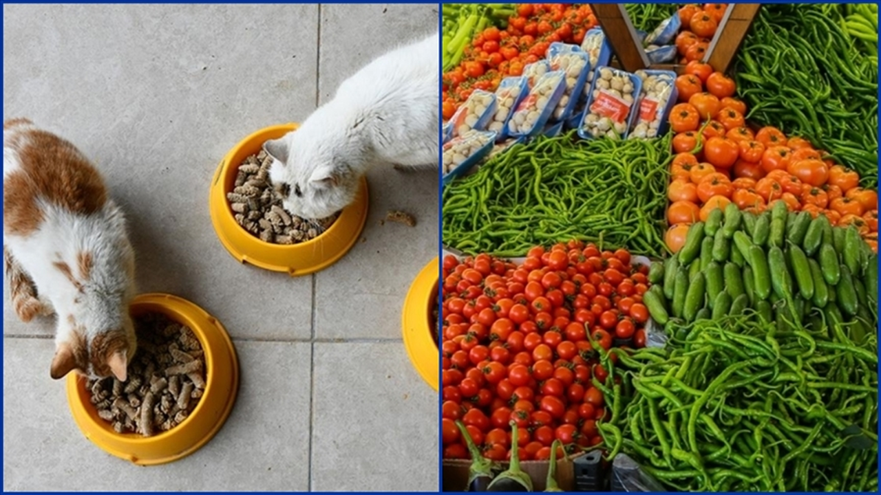 Kasımda fiyatı en çok artan evcil hayvanlarla ilgili ürünler, en fazla düşen taze sebzeler oldu