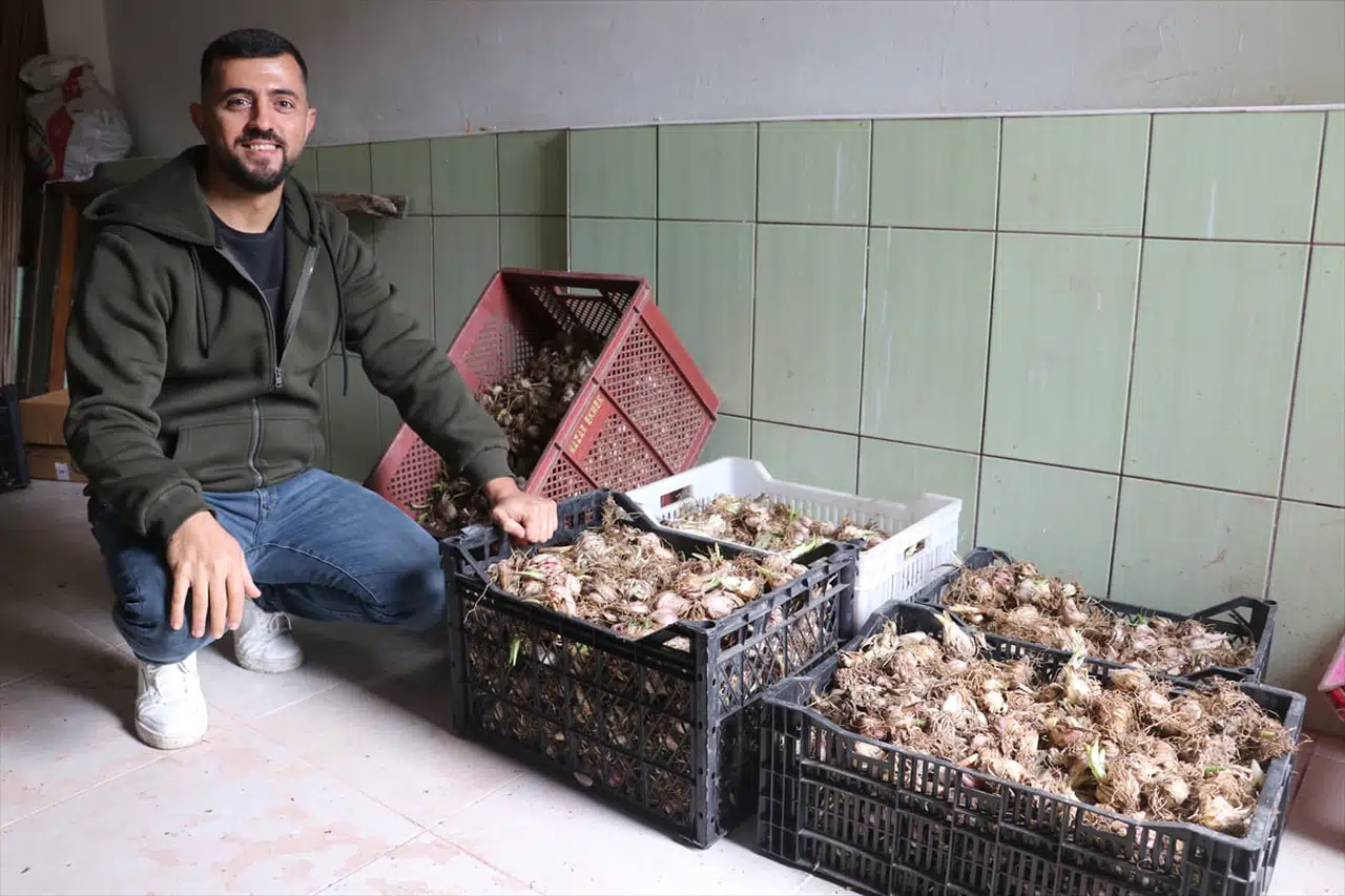 Tarım Girişimcisi Seyfettin Kavak'ın Ak Zambak Joğrafyası