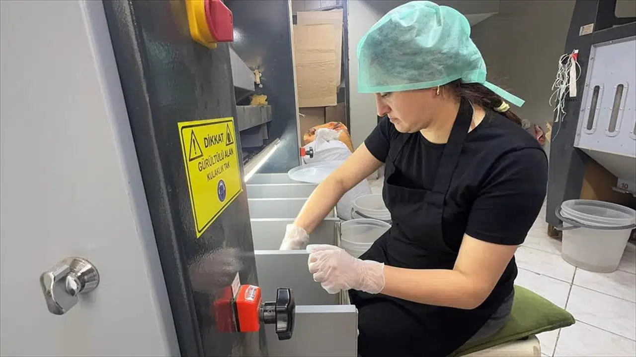 Giresunlu Kadın Girişimci Emel Çakır'dan Fındık İşleme Tesisi