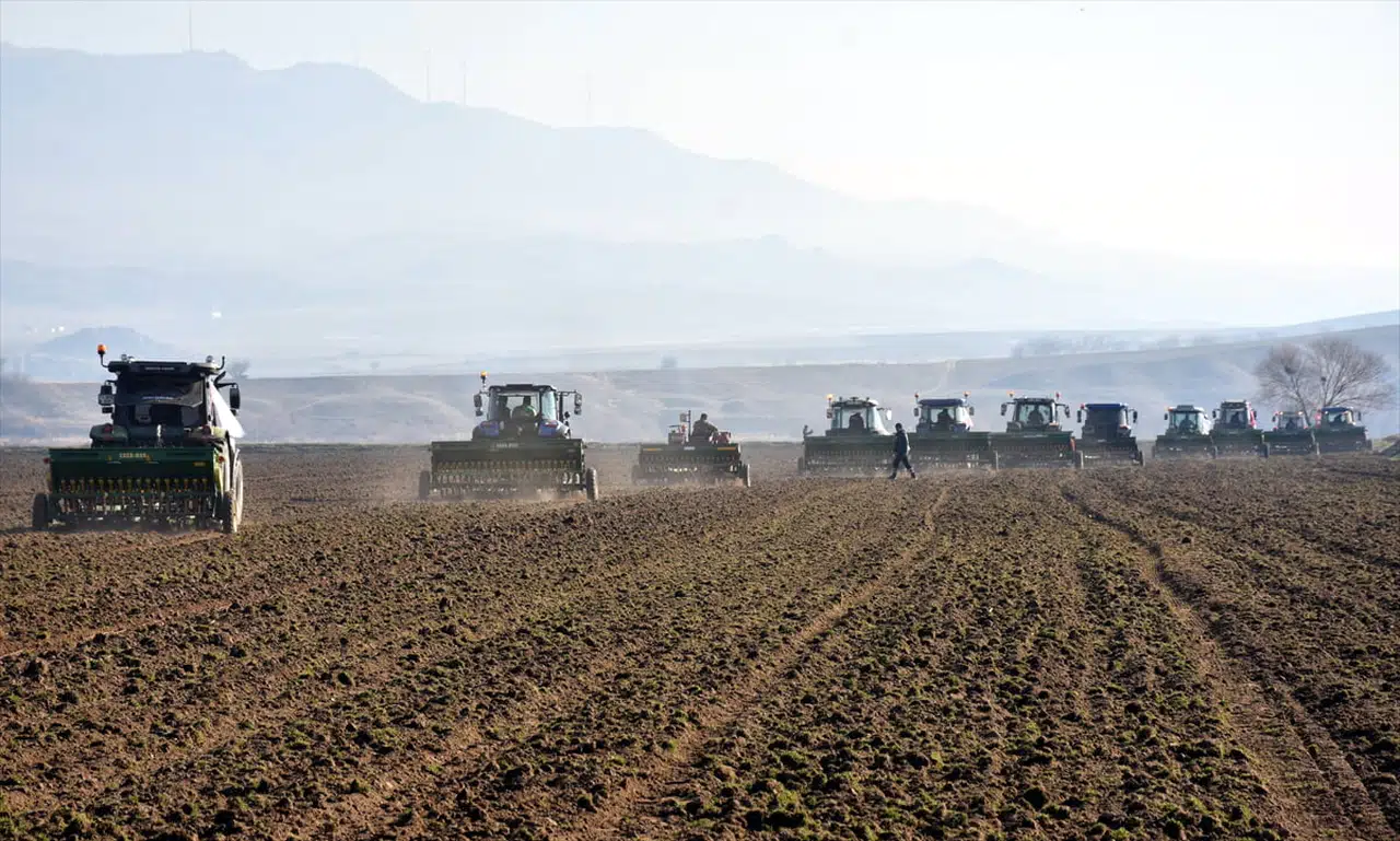 Kırıkkale'de Arpa Ekimi Başladı: Mera Islah Projesi