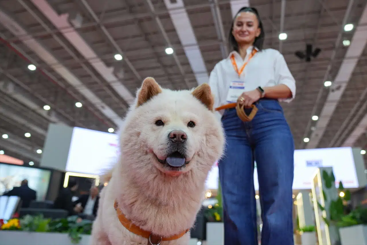 İzmir'de 9. Uluslararası Evcil Hayvan Ürünleri Fuarı Başladı