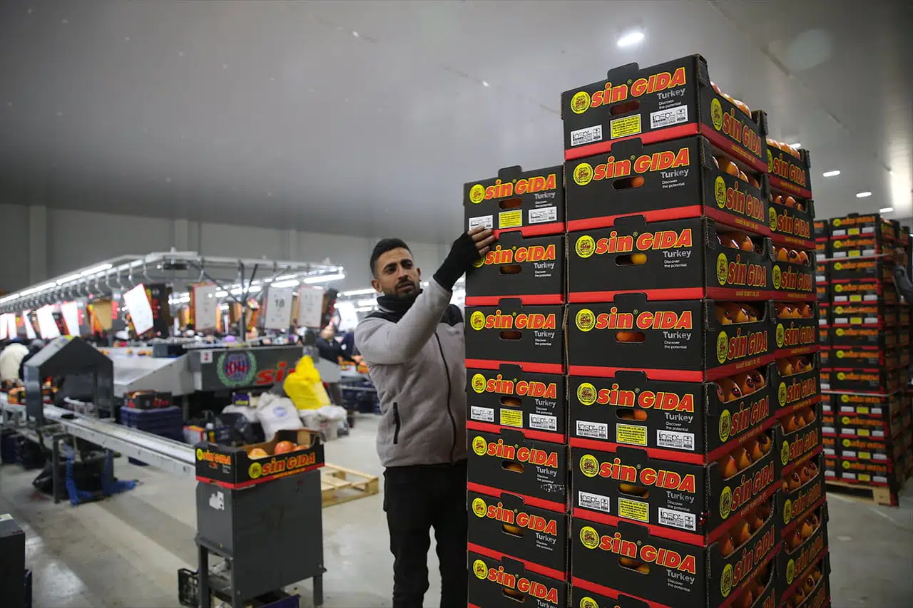 Doğu Akdeniz'den Meyve ve Sebze İhracatı Büyüyor