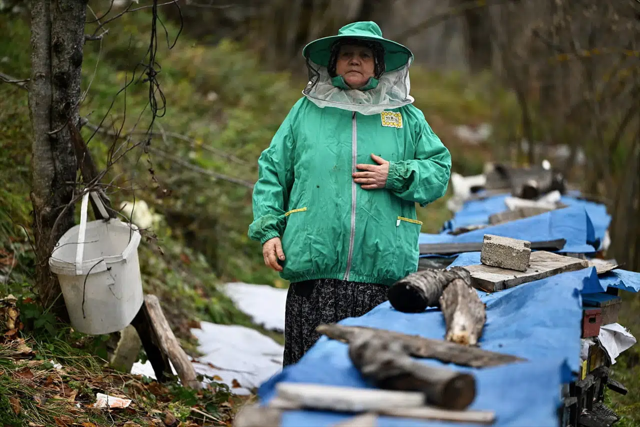 45 Yıldır Arıcılık Yapan Hacer Uğurlu'nun Başarı Hikayesi