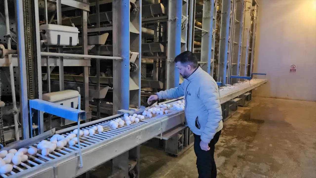 Erzincan'daki Modern Yumurtacılık Tesisleri