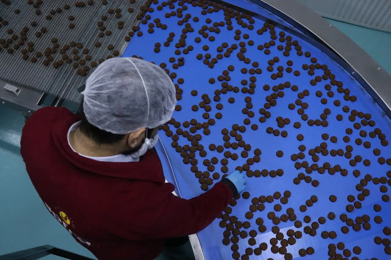 Kayseri'de Glütensiz Gıda Üretimi: Devlet Destekli Başarı Öyküsü