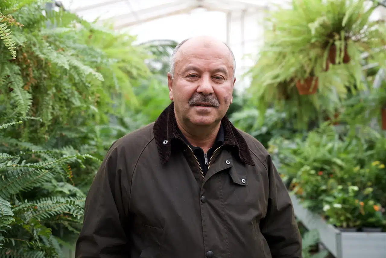 Yerli Rulo Çim Üretimi, İthalatı Sonlandırarak Maliyetleri Düşürüyor