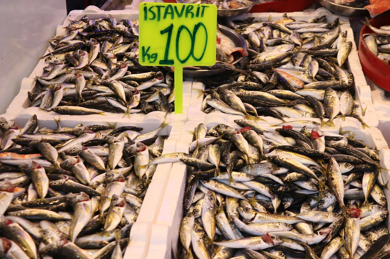 Rize'de istavritin kilogramı 100 liradan satılıyor