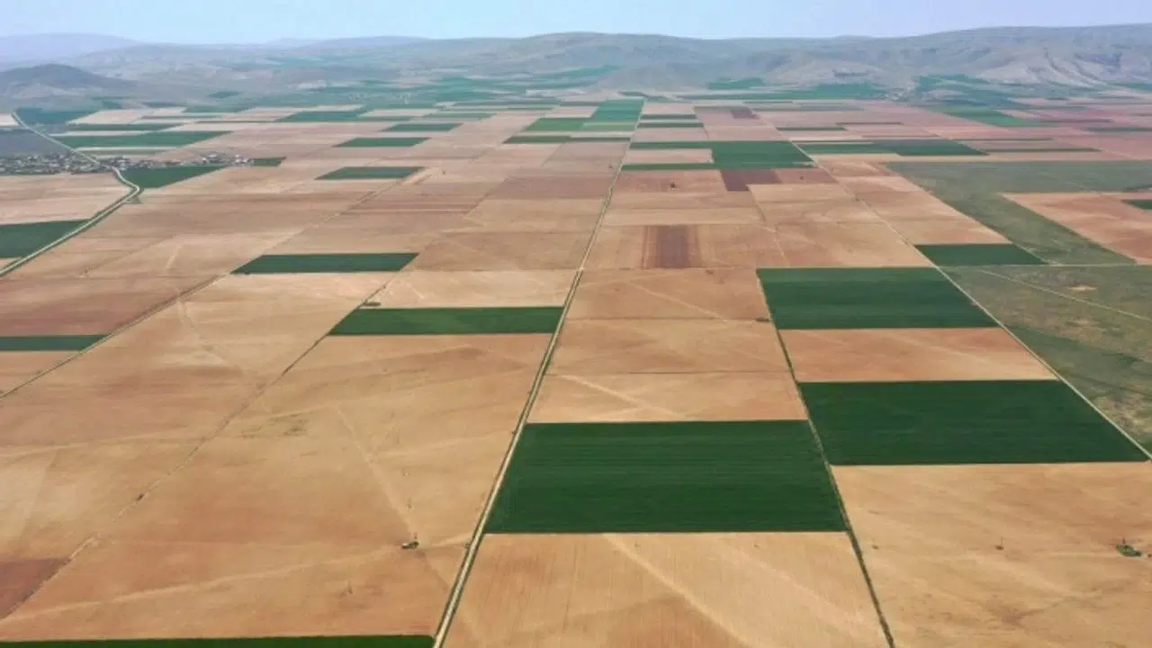 Çorum ve Malatya'nın bazı bölgelerinde arazi toplulaştırması yapılacak