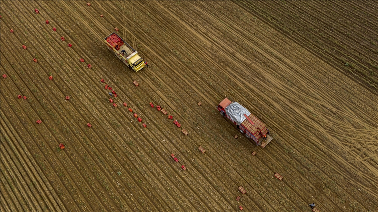 Tarım ÜFE Aralık 2025'te aylık yüzde 3,06, yıllık bazda yüzde 36,01 arttı