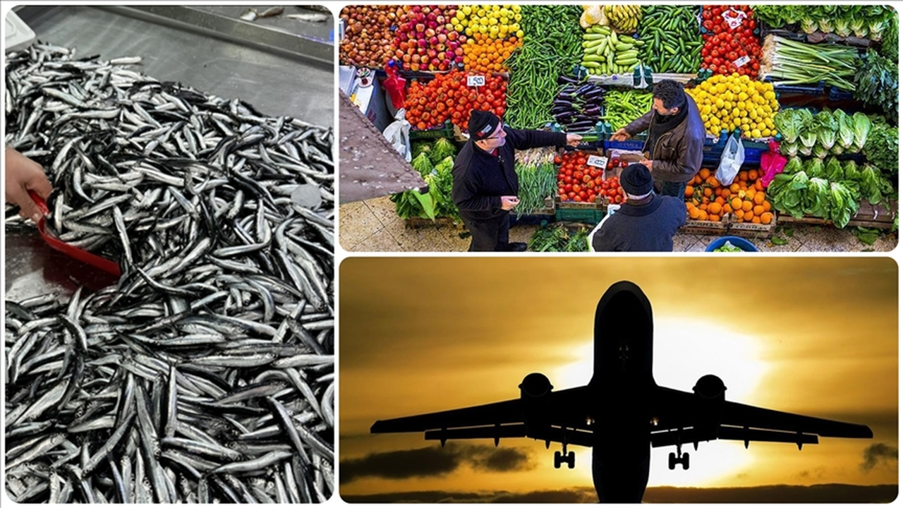 Aralık 2025'te fiyatı en fazla artan ürün 'taze balık', en çok düşen 'hava yoluyla yolcu taşımacılığı' oldu