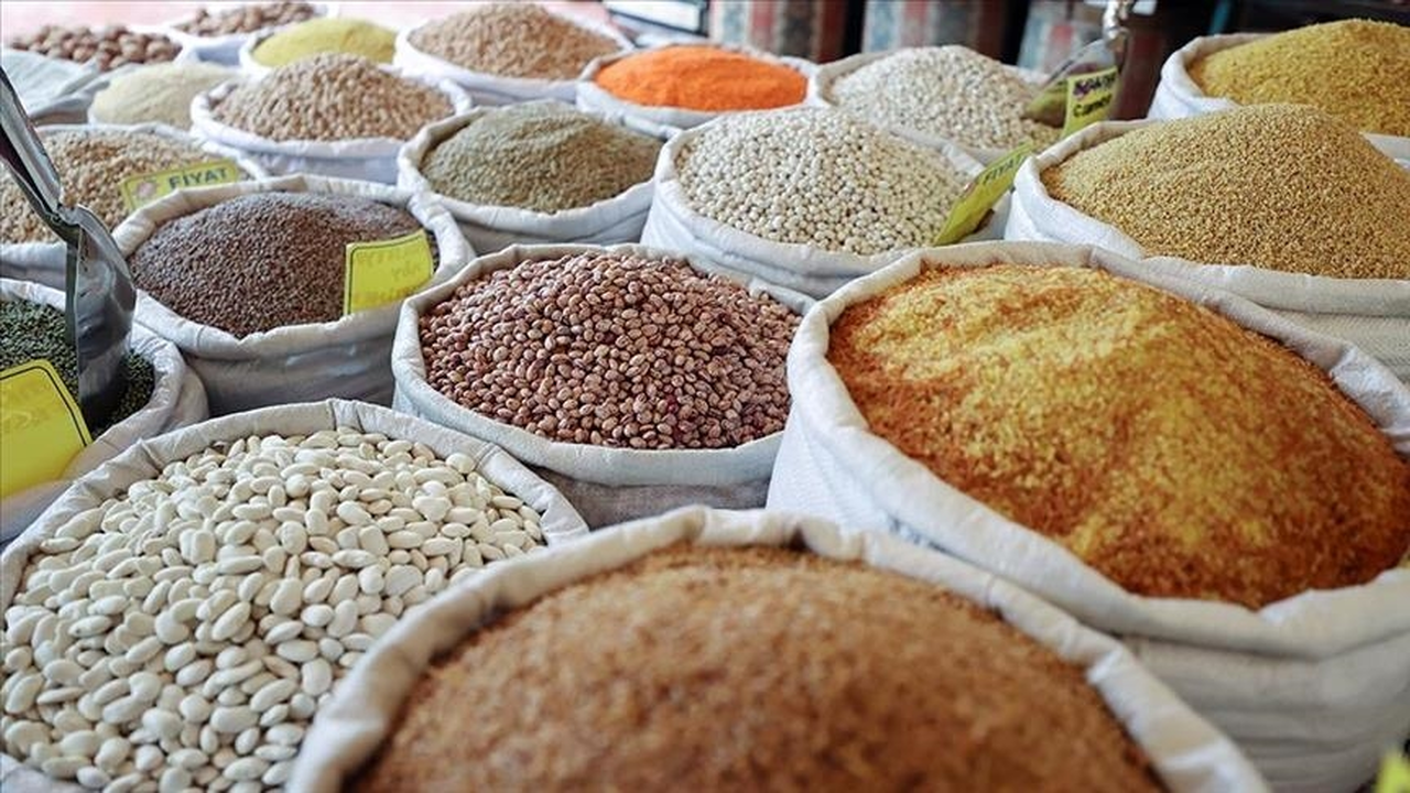 Güneydoğu Anadolu'nun hububat, bakliyat ve yağlı tohumlar ihracatı 2025'te yüzde 3,6 arttı