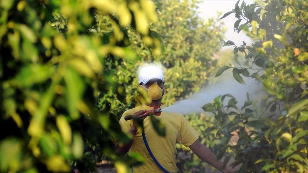 5 soruda tarımda 'B-Reçete' uygulaması