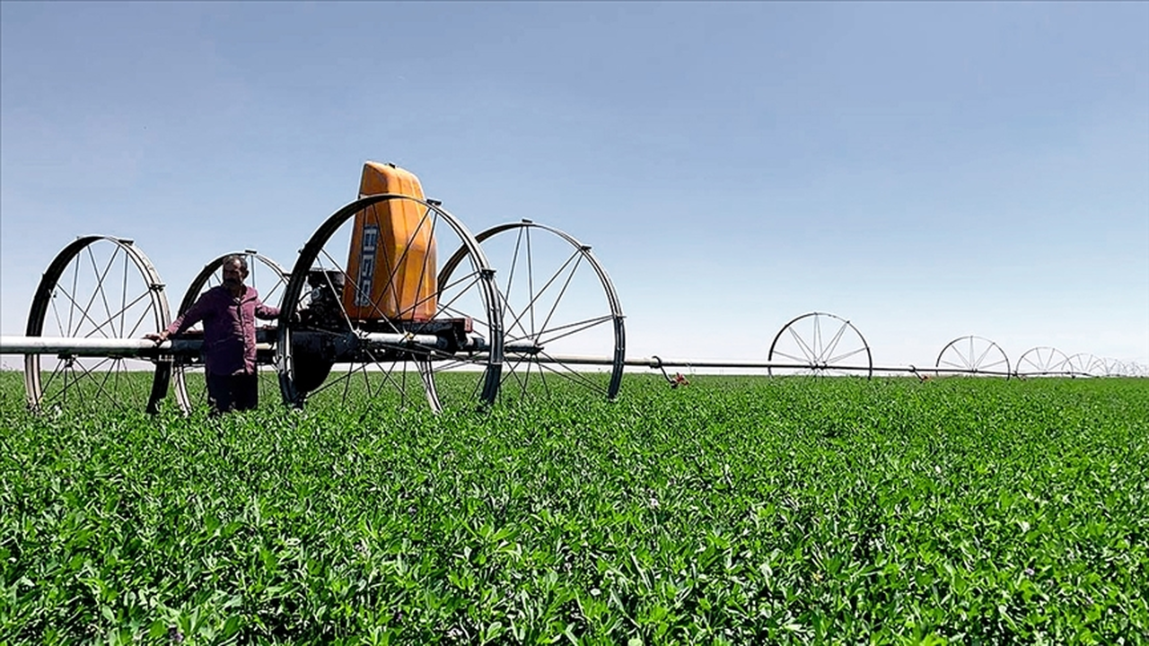 Kırsal kalkınma destekleri kapsamındaki tarıma dayalı projelerin tamamlanma tarihi belli oldu