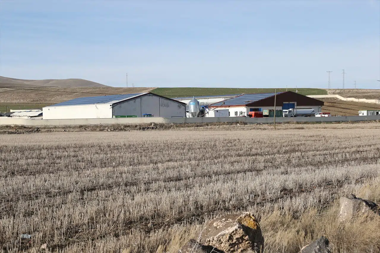 Nevşehir'de Süt Üretiminde Yenilikçi Adımlar