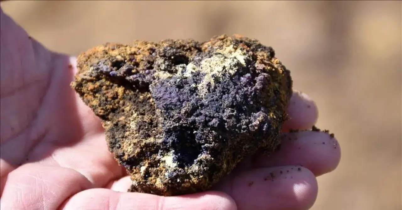 BM Güvenlik Konseyi: Mineraller Çatışmaları Körüklememeli