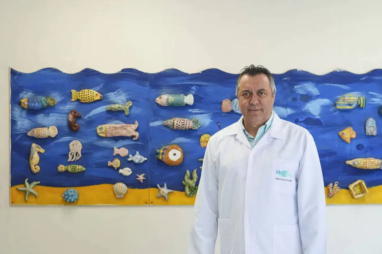 Su Ürünleri İhracatı Ocak-Şubatta %31 Arttı, Tarihi Rekor Kırıldı