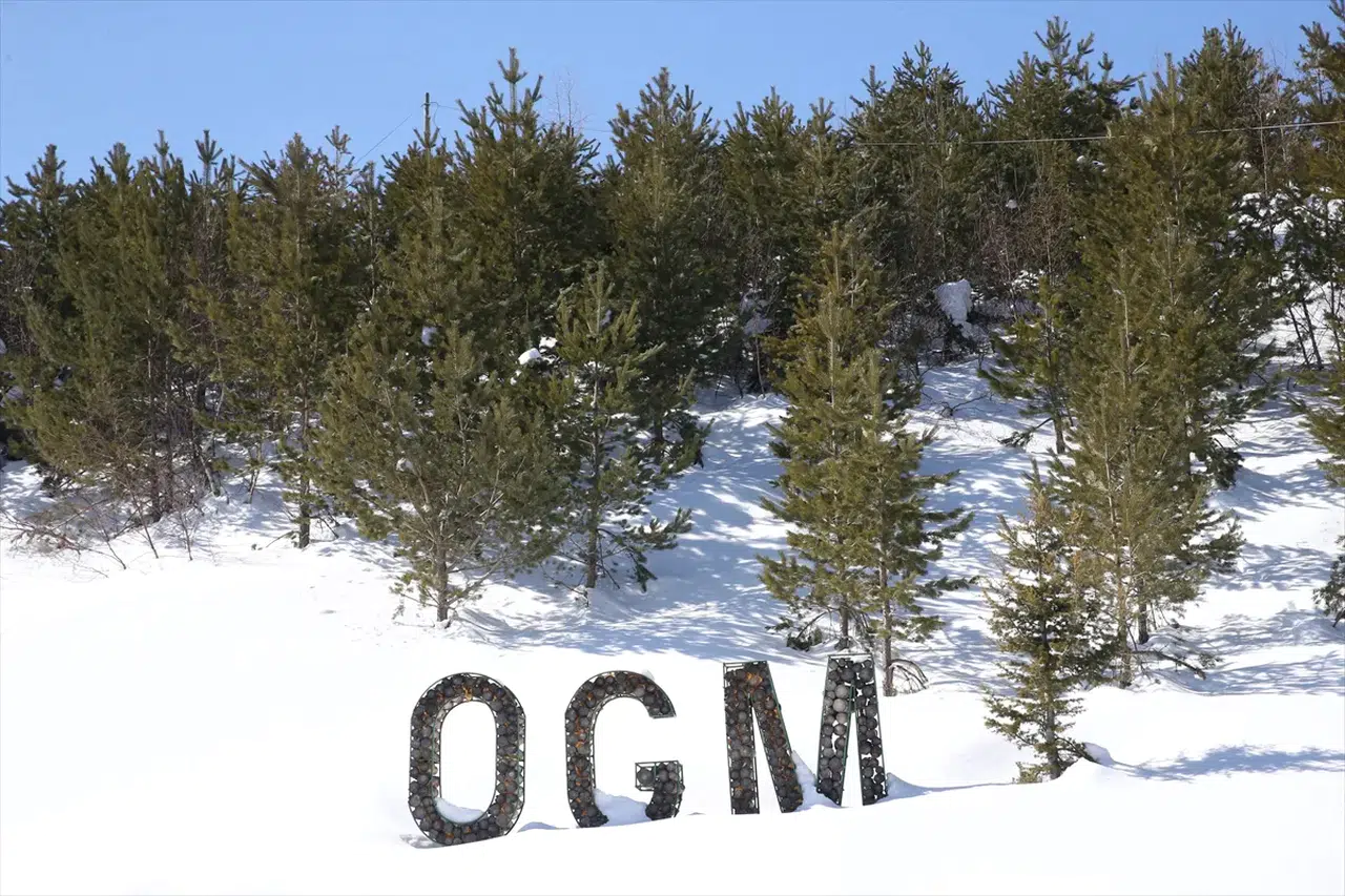 Erciyes’te Dev Ağaçlandırma: 7 Milyon Fidan Toprakla Buluştu!