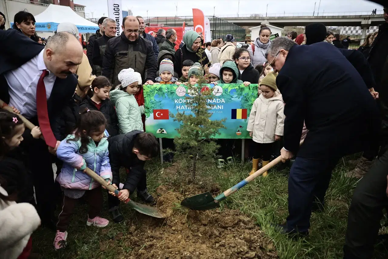 Sinop’ta Orman Haftası Etkinlikleriyle 5 Bin 700 Fidan Toprakla Buluştu!