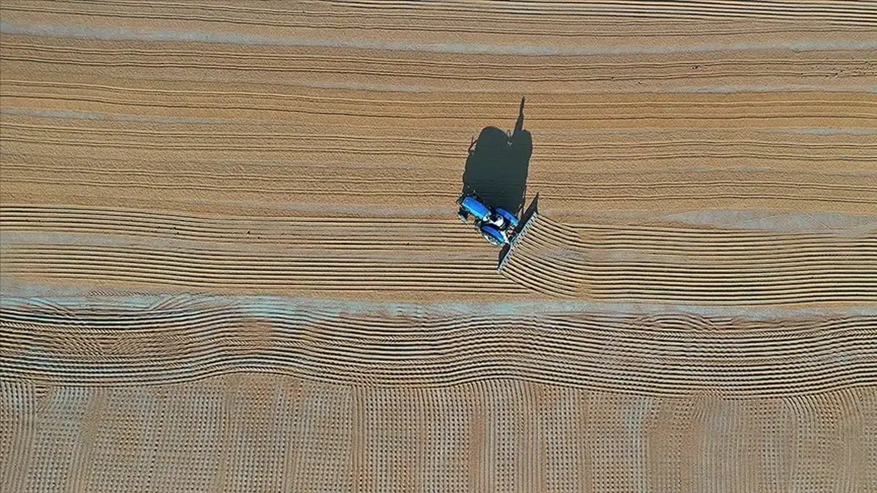 Toprağın röntgeni çekiliyor: Kritik tarım alanları Cumhurbaşkanı kararıyla korunacak!