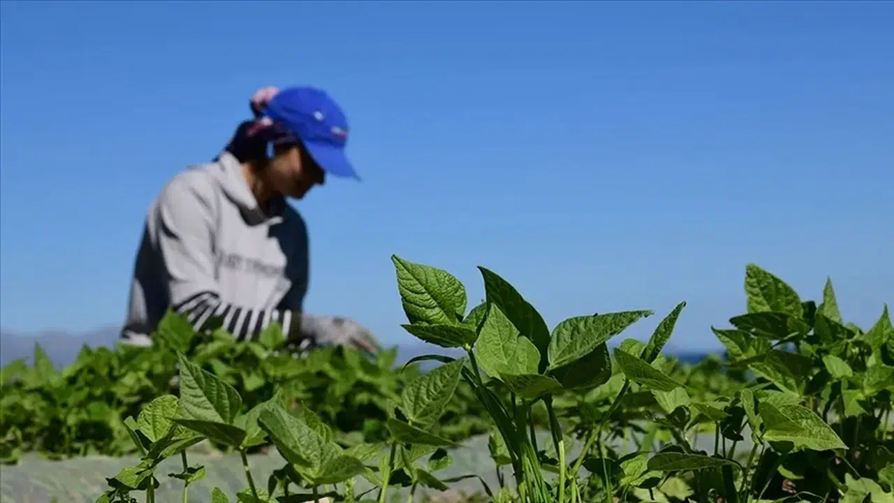 Gıda ve çevre konulu uluslararası projelere destek sağlanacak!