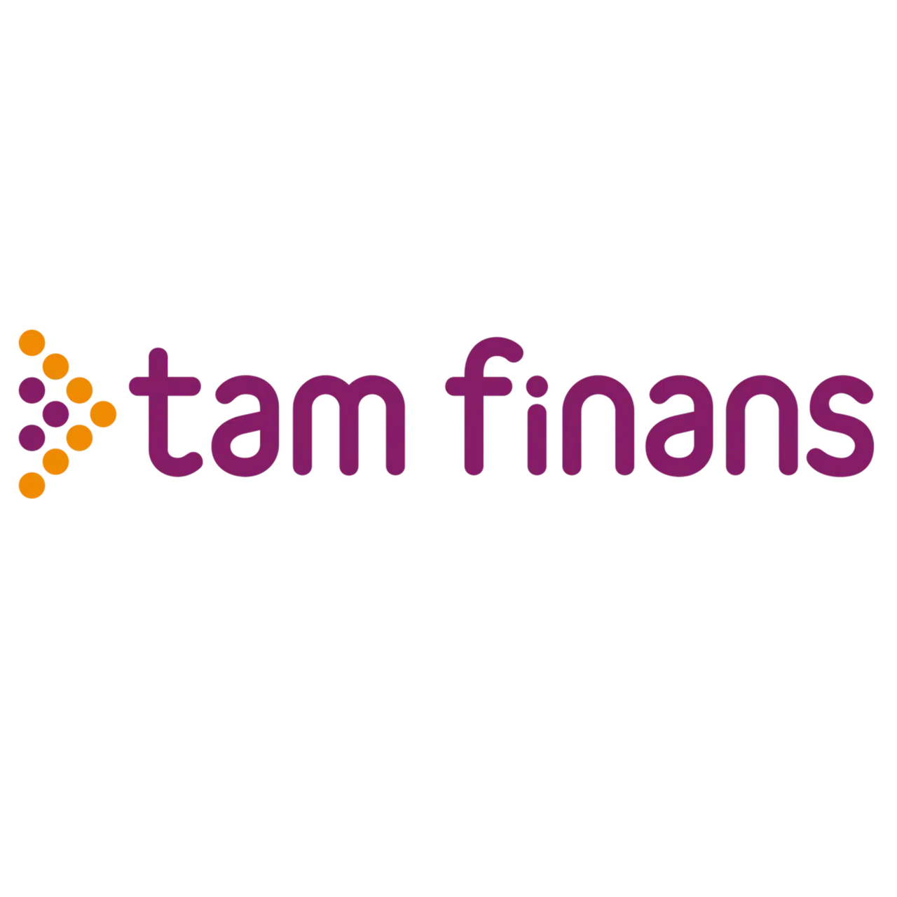 Tam Finans’tan 190 milyar TL’lik dev ciro hedefi: Mikro KOBİ’lere finansman desteği sürüyor!