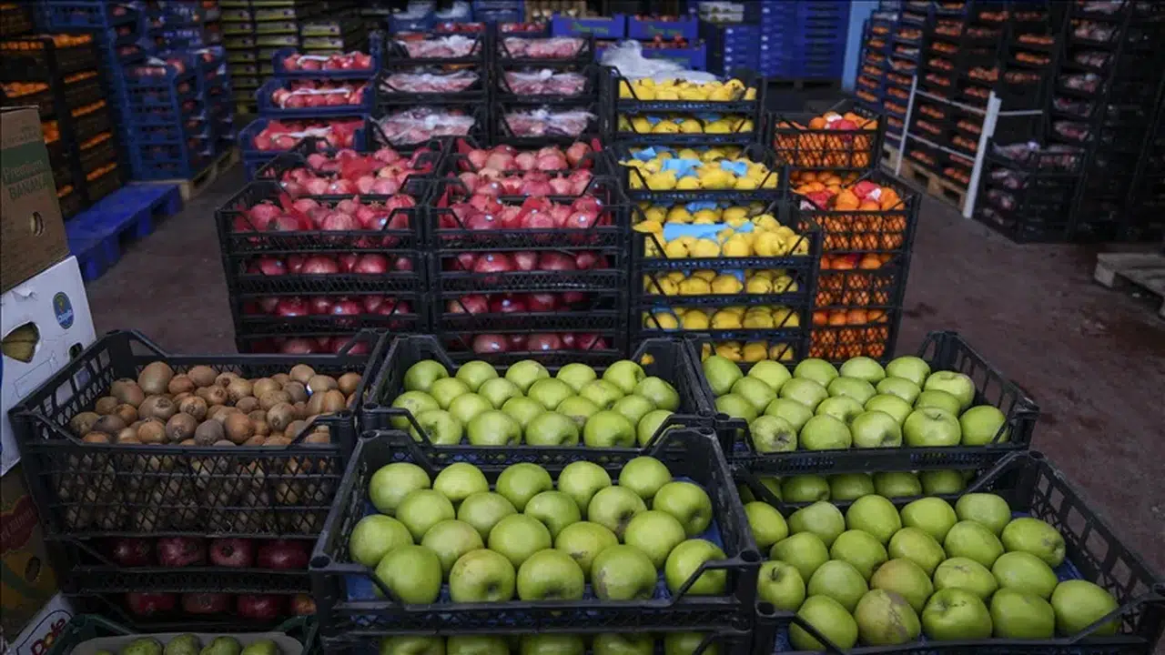 Hallerde vergi kaybı ve fiyat oyununa inceleme!