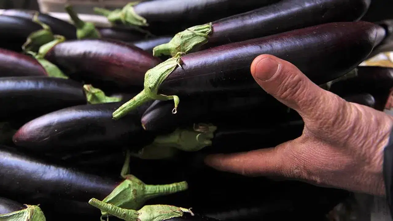 Mutfağın Zam Şampiyonu Belli Oldu: Patlıcan El Yakıyor Salatalık Sevindiriyor!