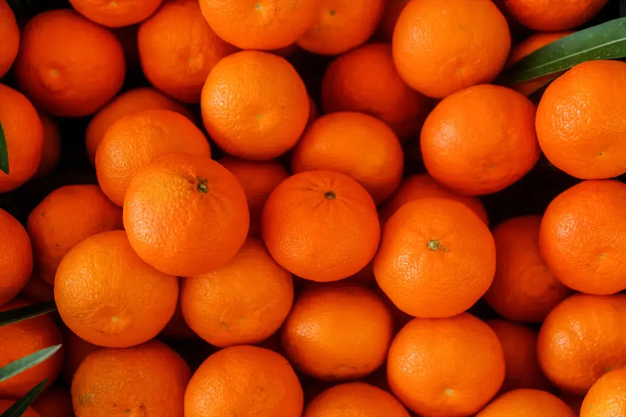 Limonda Rusya mandalinada Irak: Türk meyveleri sınırları aşıp zirveye yerleşti!