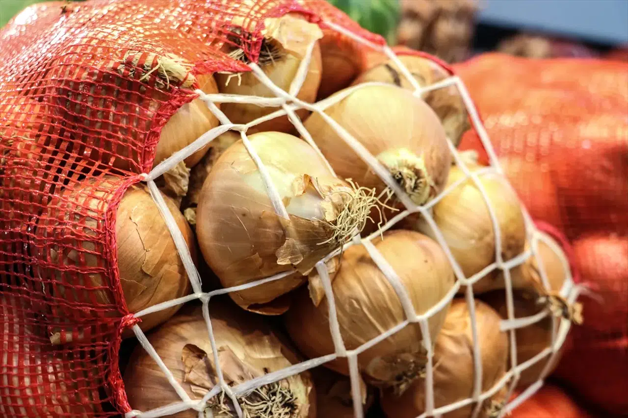 Sofraların vazgeçilmezi kuru soğan ihracat rekoruna koşuyor: 15 katlık dev artış!