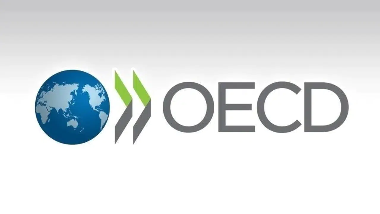OECD Türkiye'nin potansiyeline dikkati çekti!