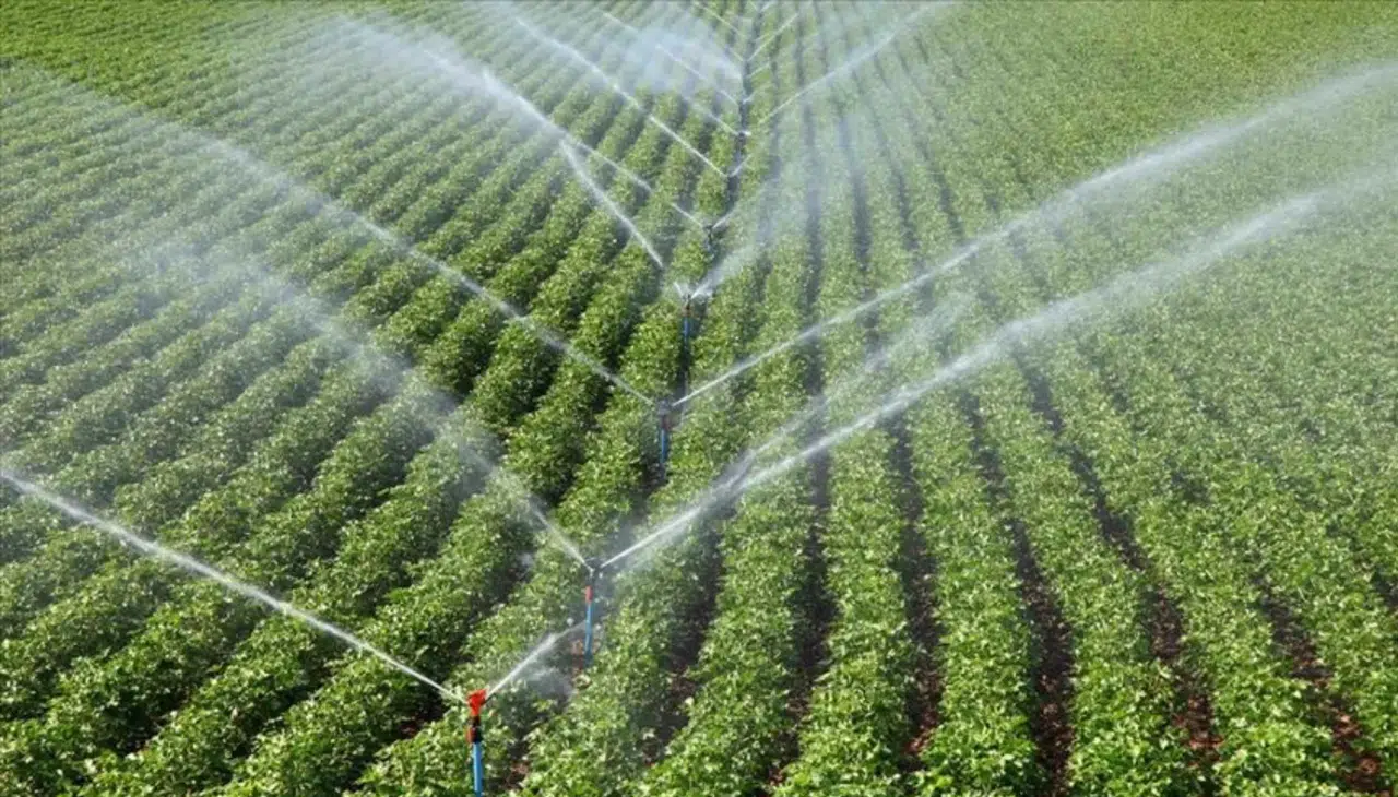 Milli ekonomiye can suyu: Tarımda 12 milyar liralık büyük hasat